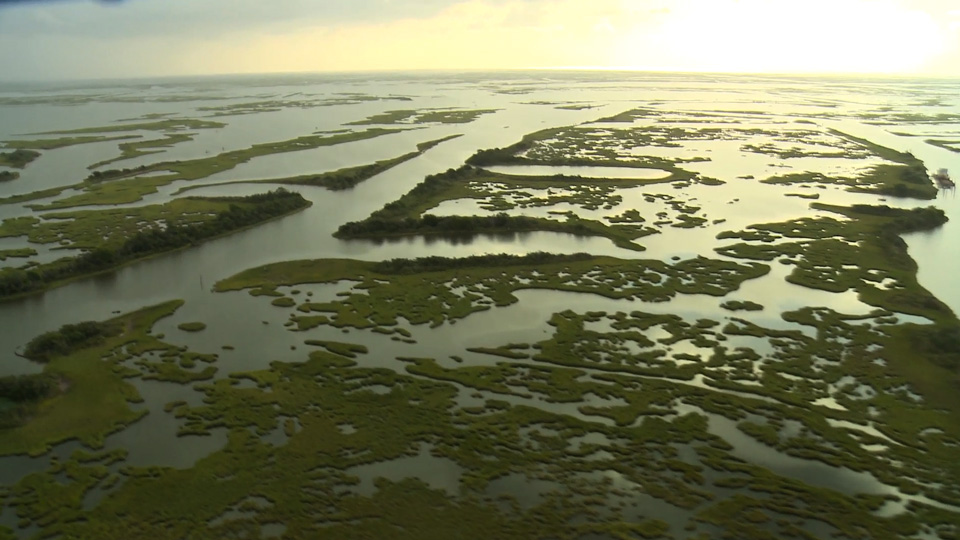Aerial view of Louisiana wetlands
