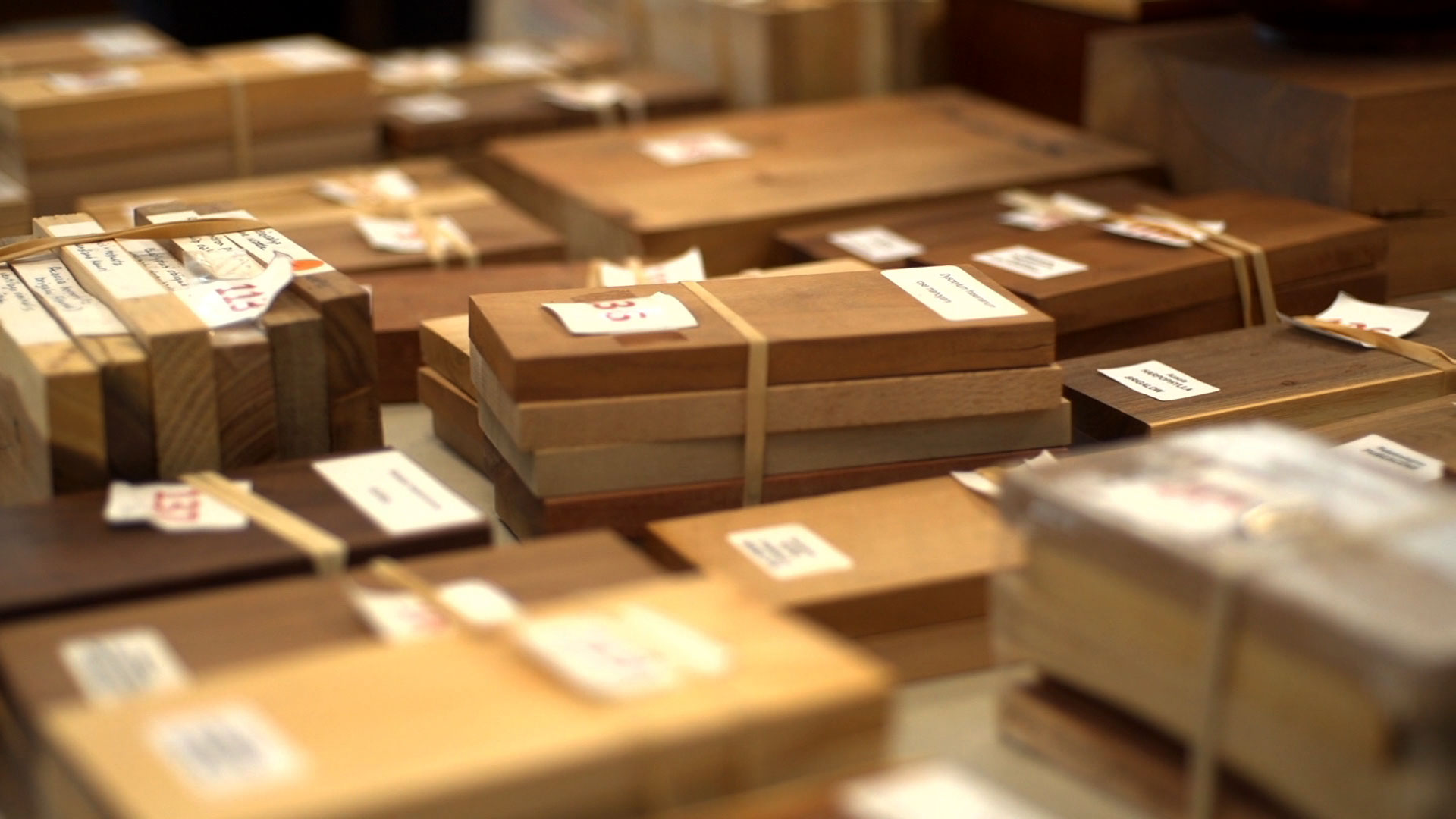 many bundles of different size and species wood boards