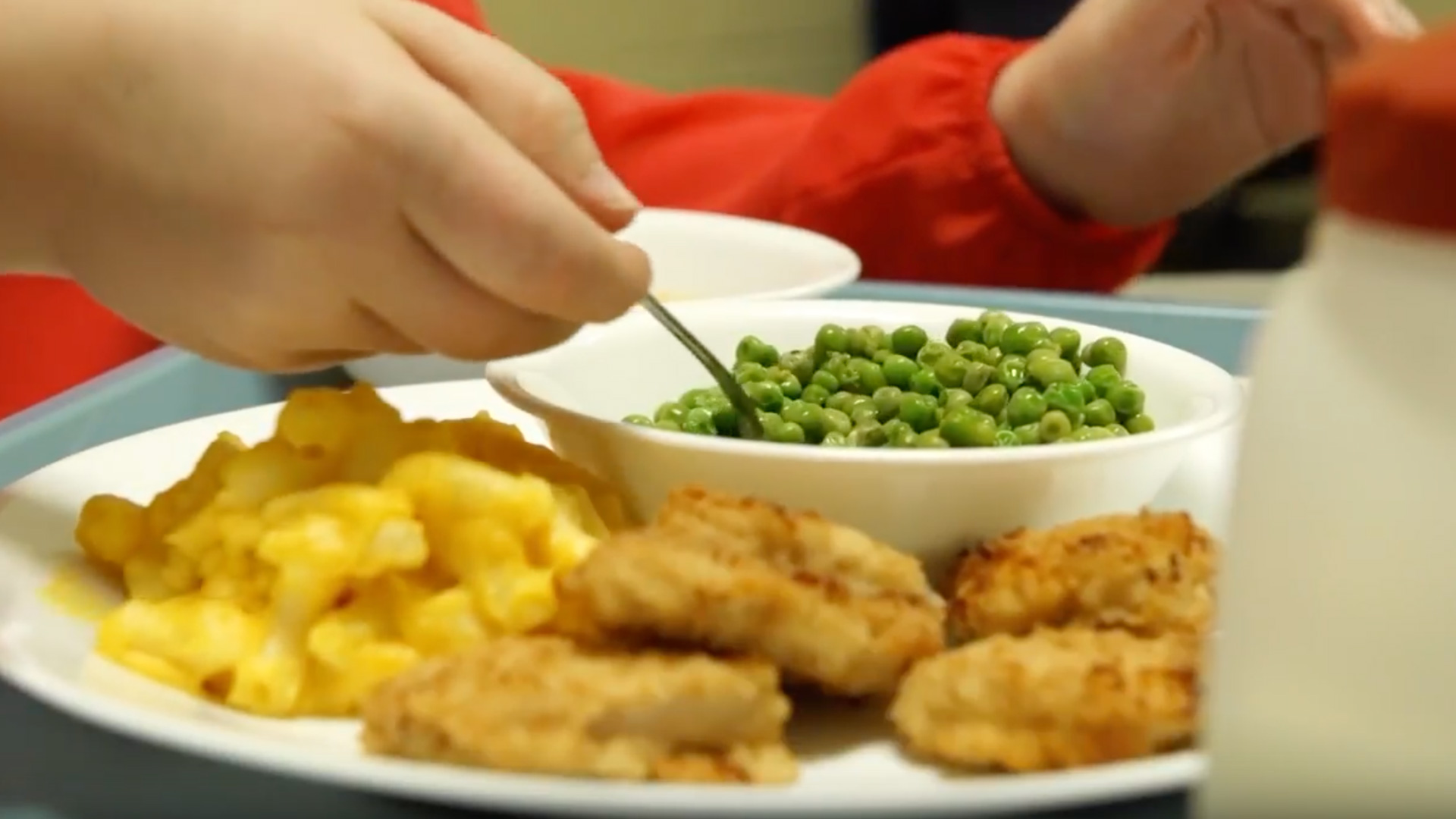 Plate of food