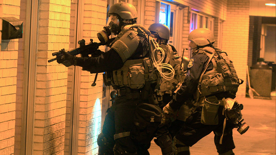 Young elephants interacting