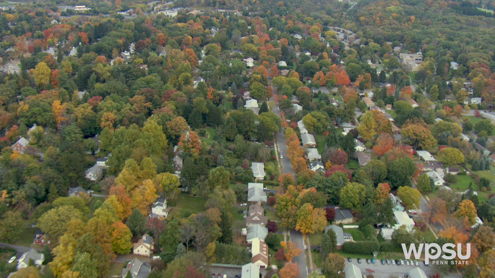 fall foliage in Centre County PA