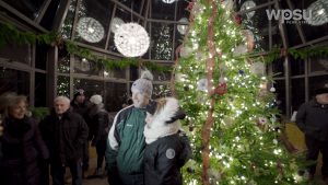 Winter Celebration at Penn State's Arboretum