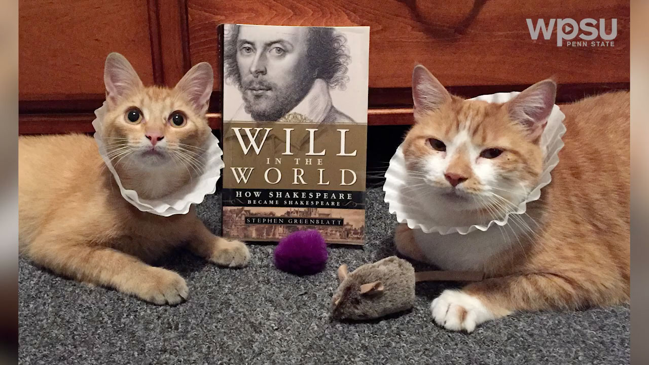 Horatio the Cat