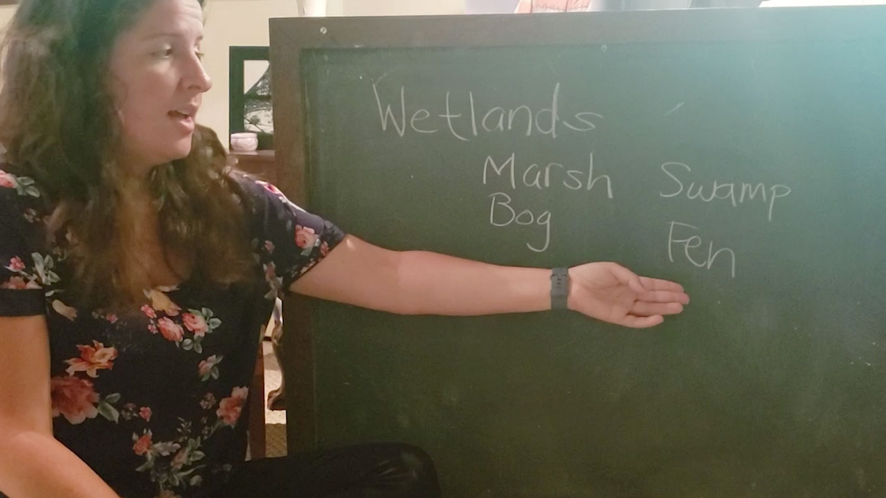 Virtual Camp with Kate