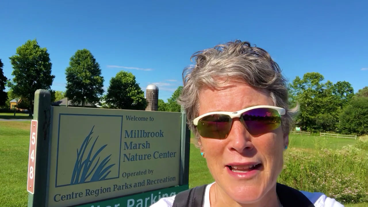 Carolyn at Millbrook Marsh