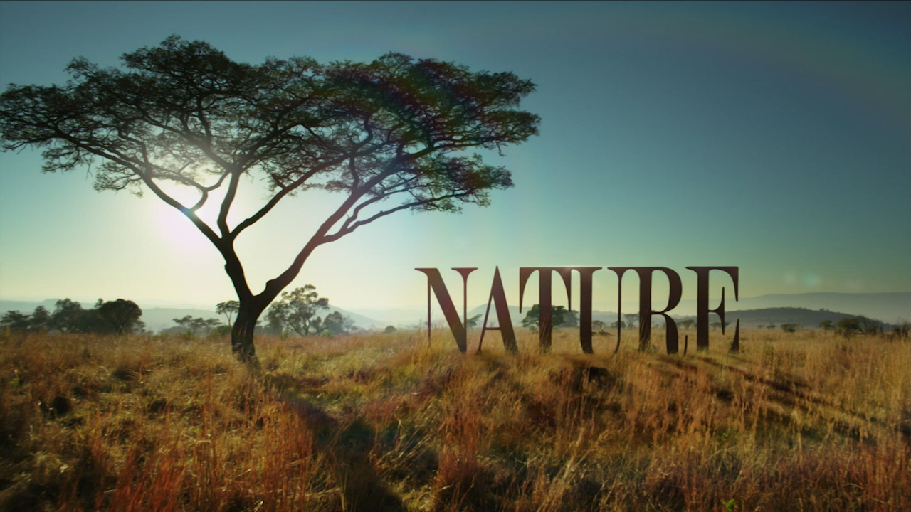 Nature title card