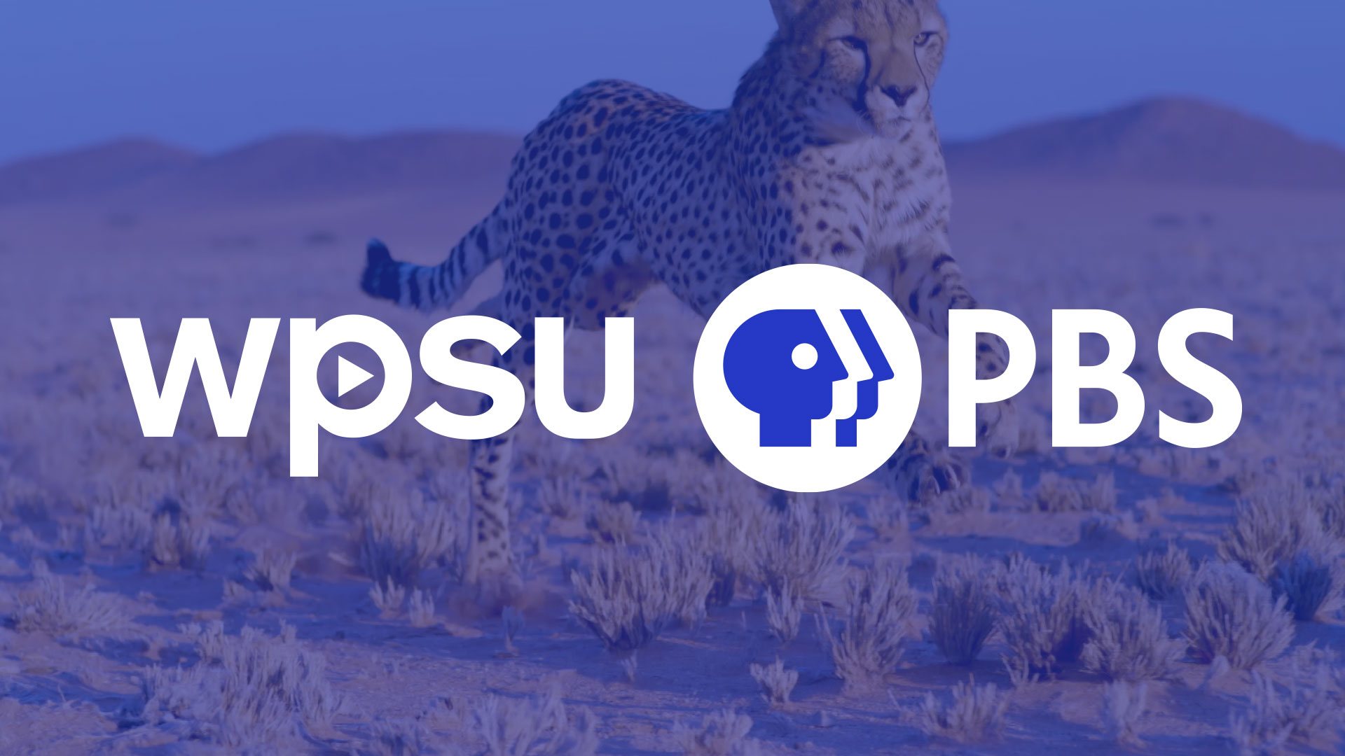 WPSU PBS