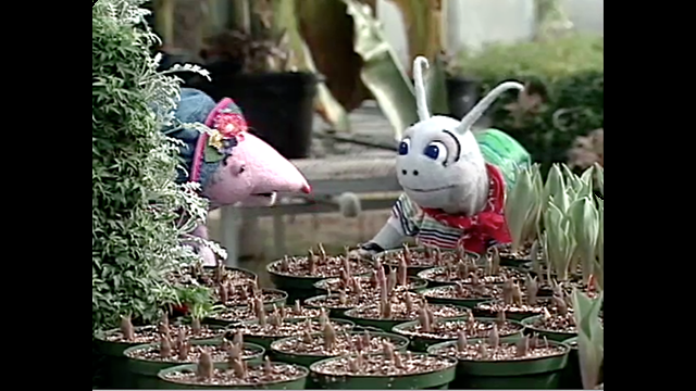 puppet snail in a garden