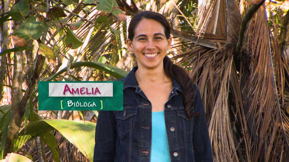 Amelia