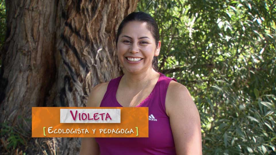 Violeta