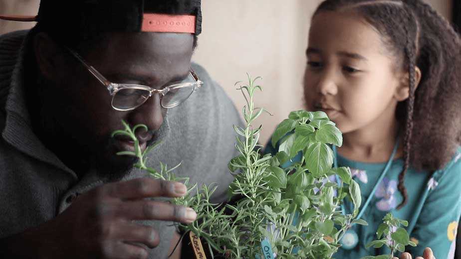 parent and child examining herb plant