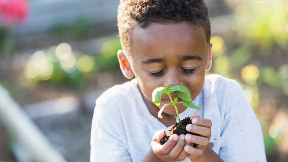 kid smelling flower