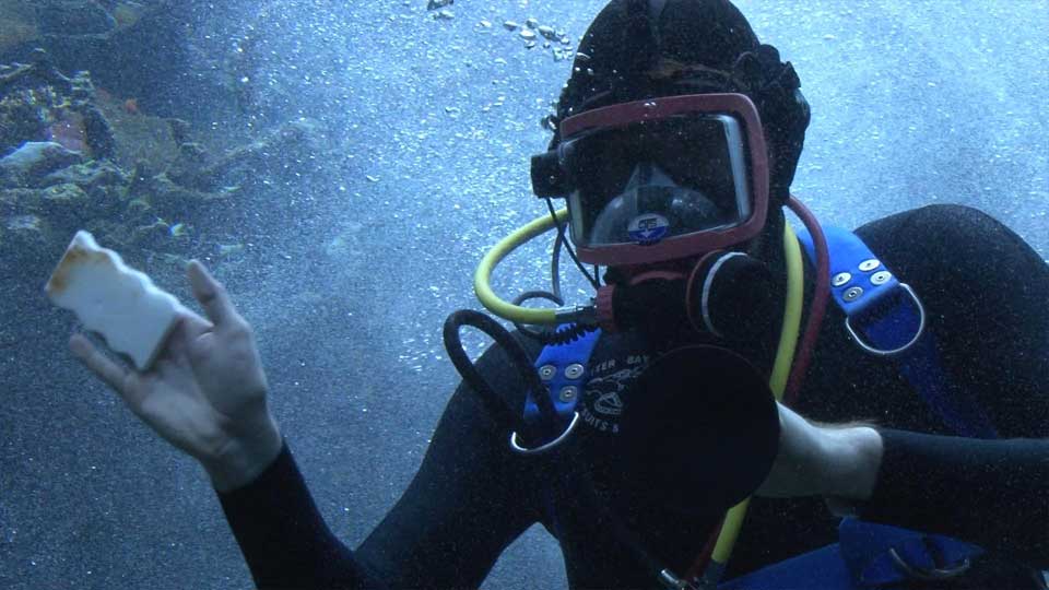 scuba diver