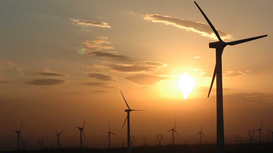 windmills