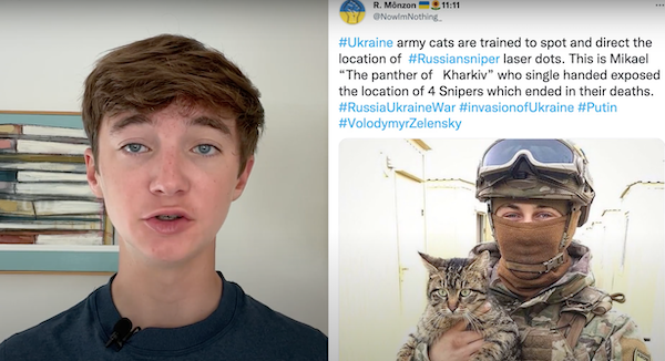 An image of a boy next to a clipped Tweet of a soldier and cat