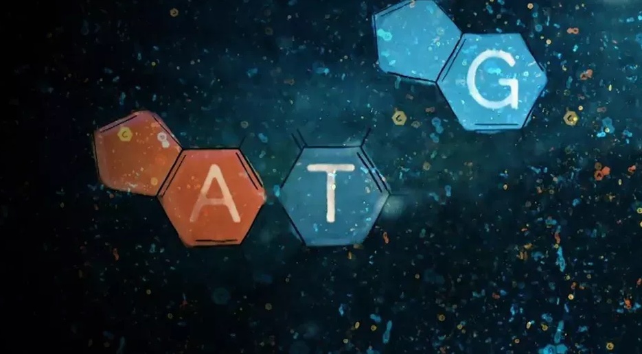 Representation of A, T, and G genes floating.