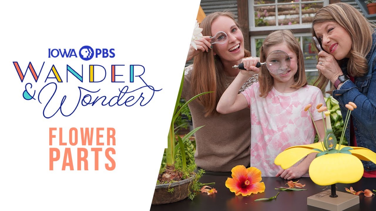 An image of two women with a girl looking through magnifying glasses.