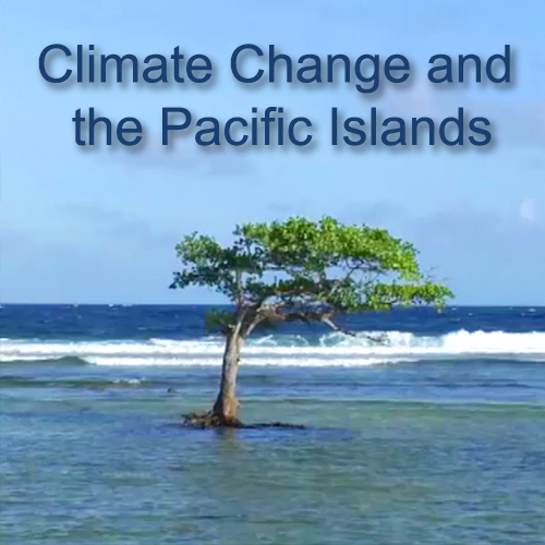 A tree grows on a beach surrounded by water.