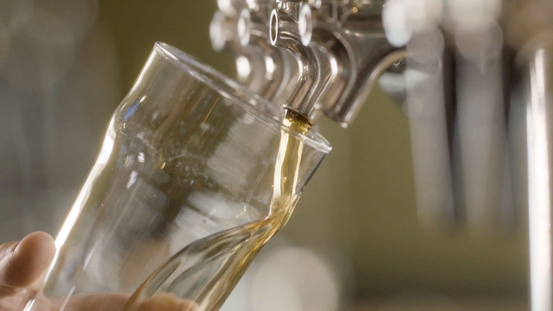 beer glass being filled from tap.