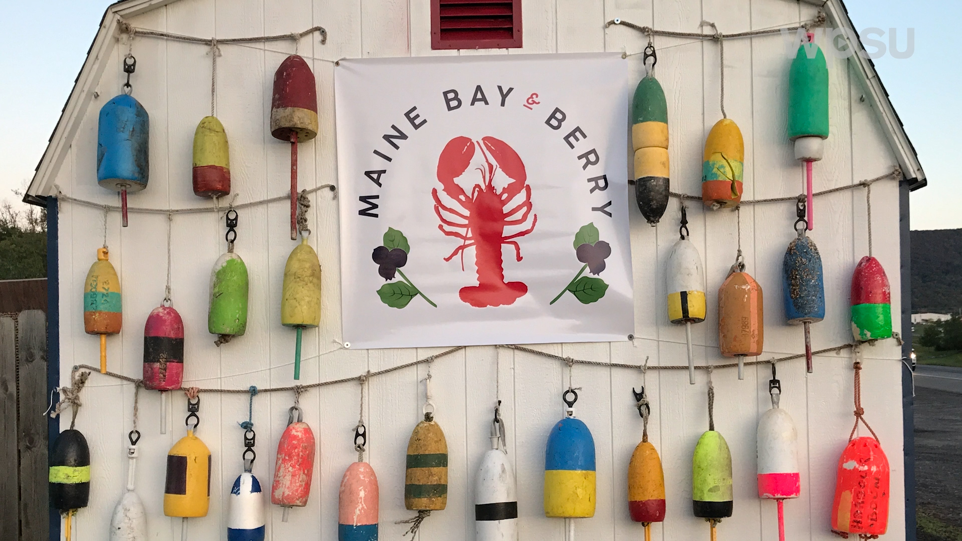 A small barn covered in nautical buoys with a drawing of a lobster and a sign in the middle that says "Maine Bay and Berry."