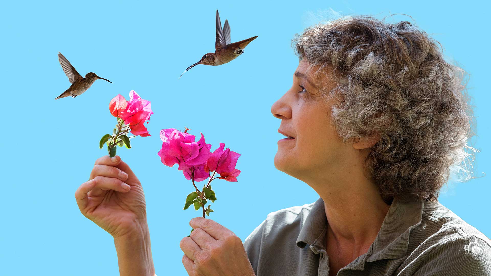 Humming birds flying near woman holding pink flowers.